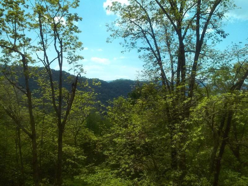 The Fiddlers Green Bryson City Exterior foto